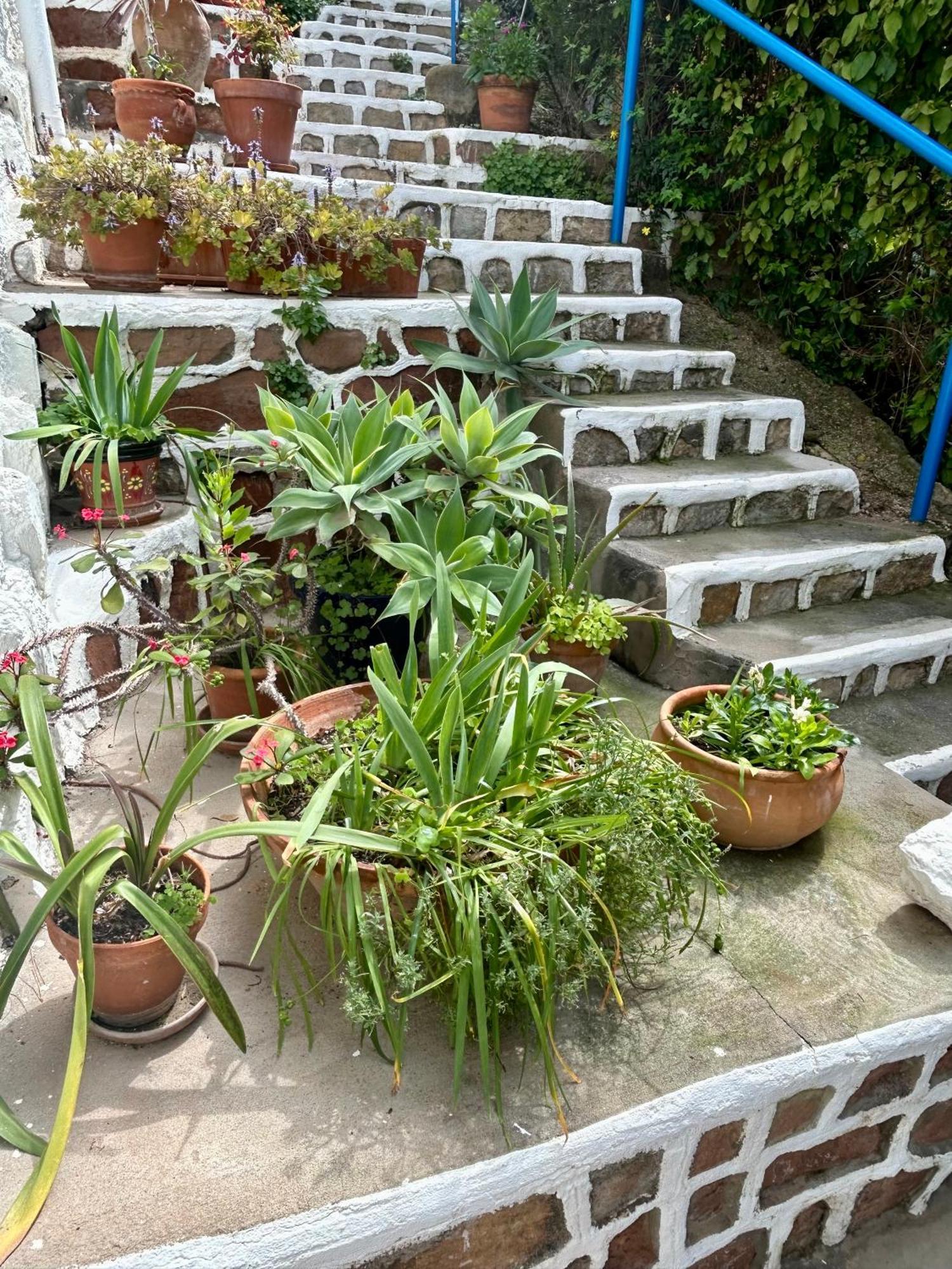 Marvellous Malaga Mediterranean And Mountain Views Ngoại thất bức ảnh